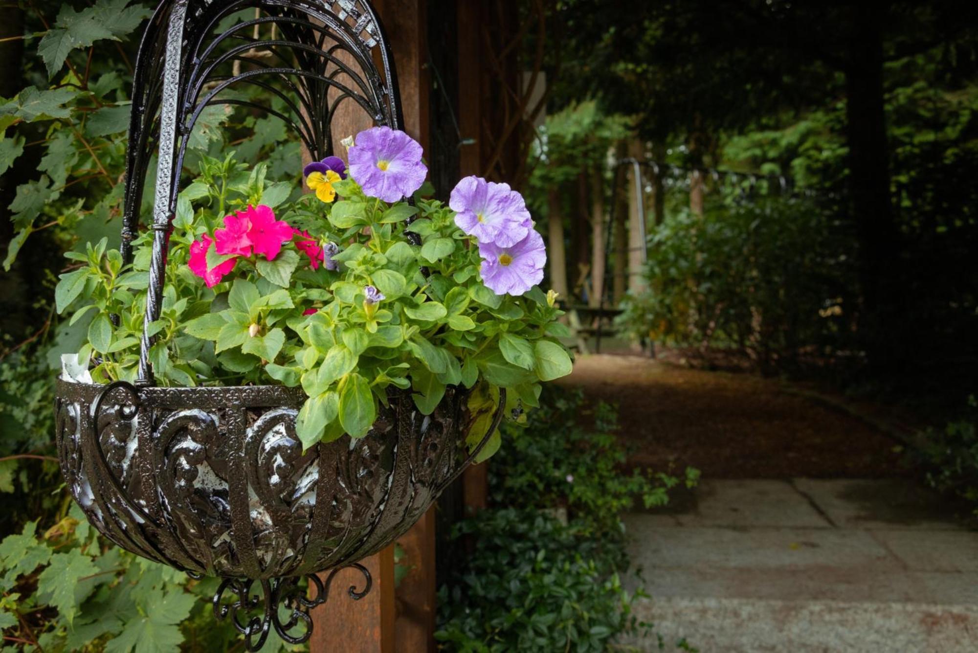 Villa Croneybyrne Courtyard Clara Esterno foto